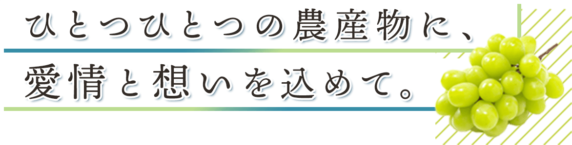 ひとつひとつの農産物に、愛情と思いを込めて。